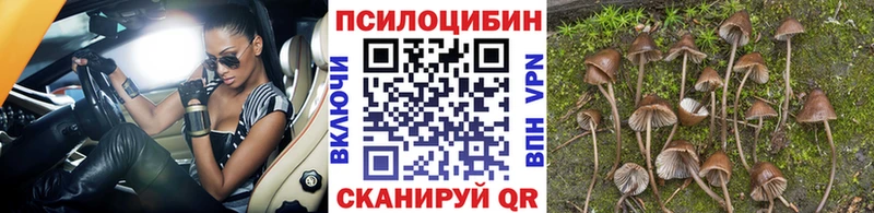 как найти закладки  Скопин  Псилоцибиновые грибы прущие грибы 
